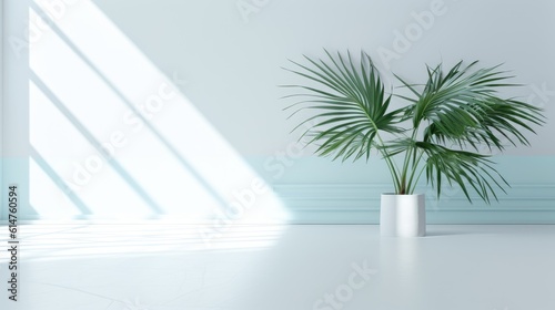 Light blue wall with shade and plant on the floor in a vase © cherezoff