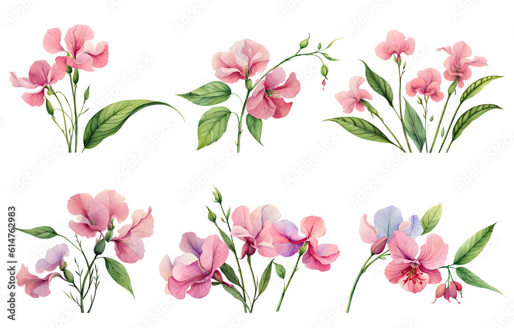 Watercolor sweet pea set. Generative Ai Watercolor sweet pea set. Generative Ai