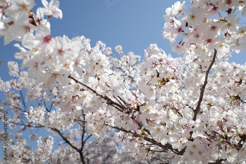 尾道（広島県 尾道市）