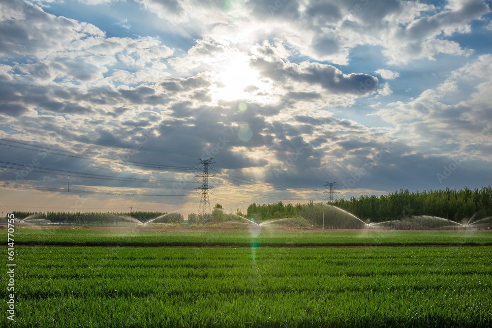 Irrigation farmland， Water-saving devices irrigate fields