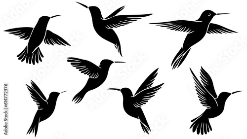 collection of birds