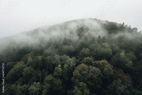 Forested landscape obscured by mist. Generative AI