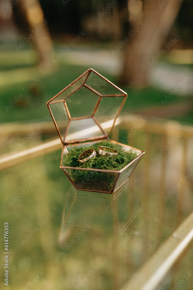 Two gold wedding rings in a beautiful elegant glass box with moss. Glass table. Wedding accessories.