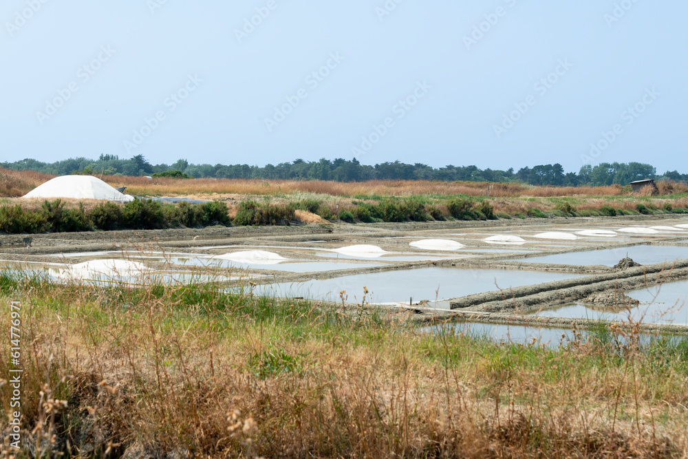 marais salants , île de Noirmoutier, 85, Vendée, France marais salants , île de Noirmoutier, 85, Vendée, France