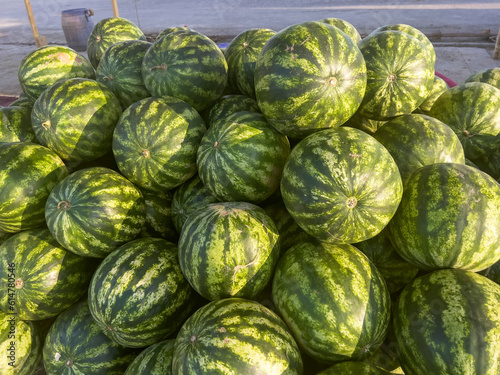 Mountain with large ripe watermelons