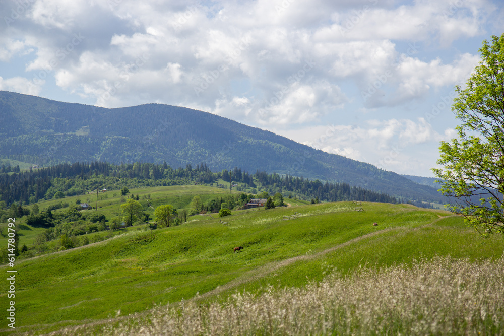 panorama of the summer mountains of the Carpathians