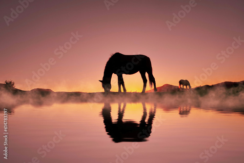 horse silhouette in the countryside and beautiful sunset background