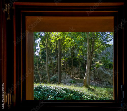 view through the window