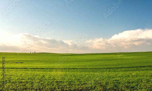 green field and blue sky