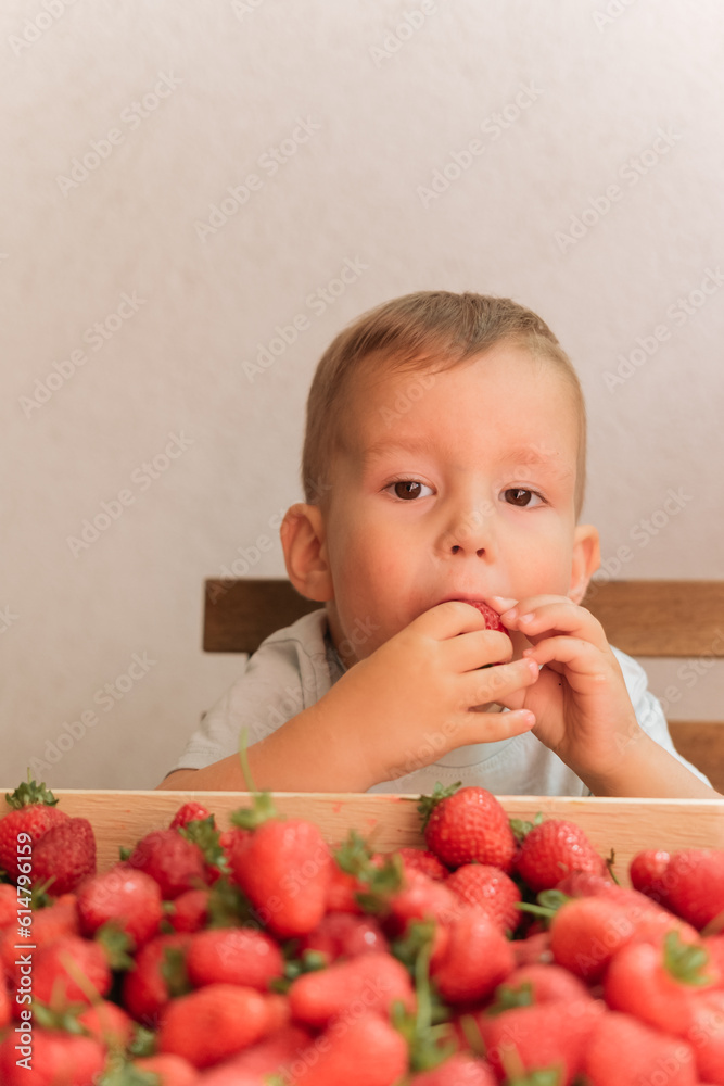 cute child eating strawberry on a gray background. wooden box full of berries
cute child eating strawberry on a gray background. wooden box full of berries