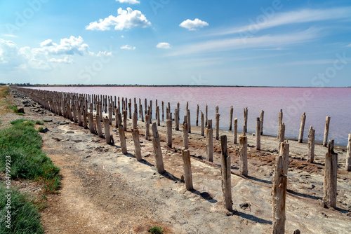 wide-angle panorama of the pink lake Sasyk-Sivash in the western Crimea