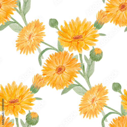 Fototapeta Naklejka Na Ścianę i Meble -  Seamless pattern of orange calendula officinalis. Watercolor hand drawn botanical illustration for labels, eco goods, textiles, natural herbal medicine, healthy tea, cosmetics and homeopatic remedies.