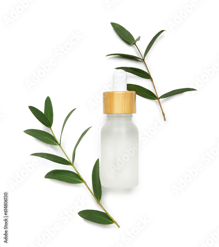 Bottle of cosmetic oil with eucalyptus twig on white background