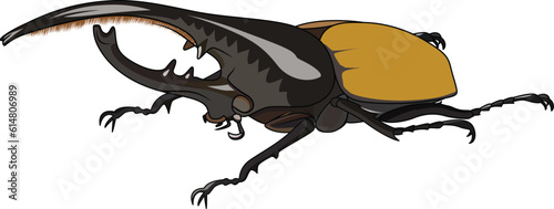 Hercules beetle dynastes hercules rhinoceros bug vector image