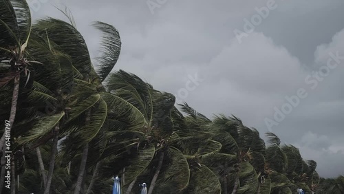 The Storm on the beach