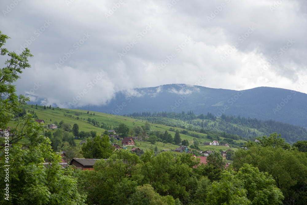 Fototapeta premium landscape with trees and clouds