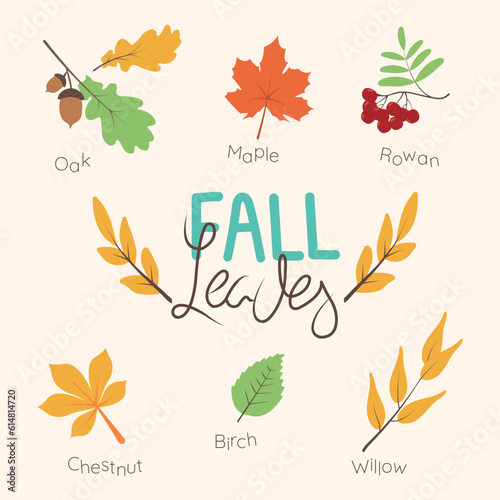 Set of colorful autumn leaves and lettering. Isolated elements. Simple cartoon flat style. vector illustration. Thanksgiving and Harvest Day.