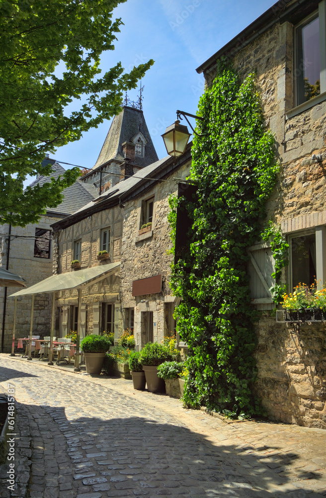 A narrow cobblestone street in Durbuy, the smallest city in Belgium, surrounded by historical stone houses.