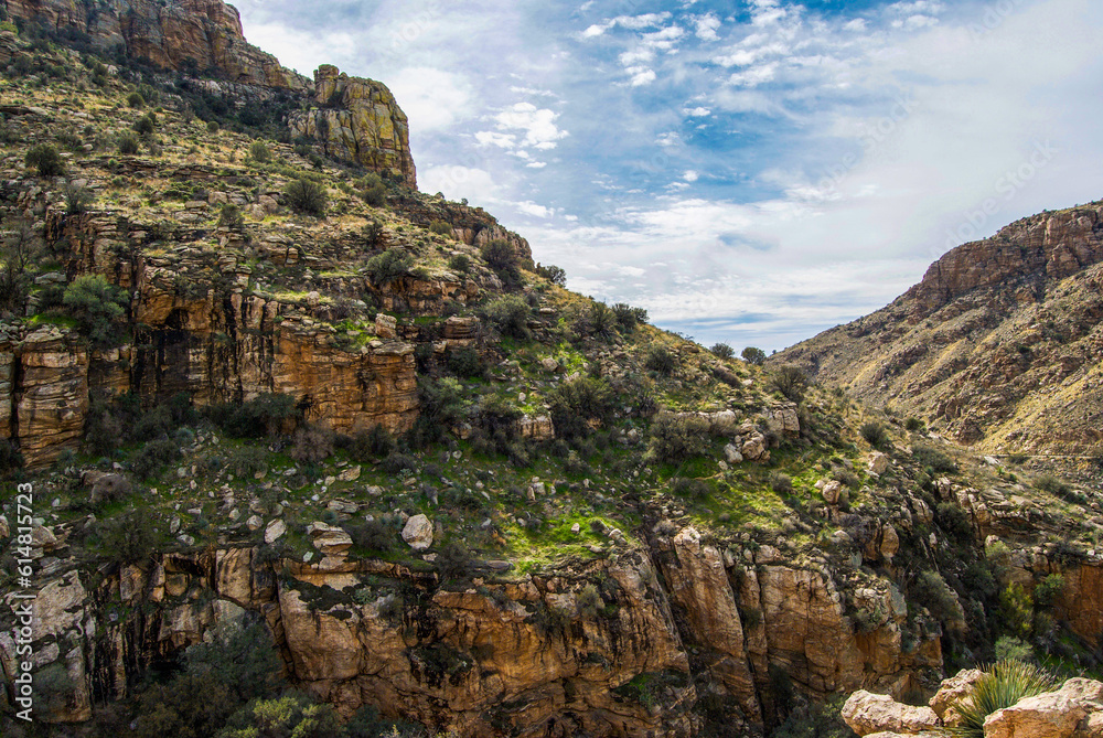 Rocky mountain ridge in the Sonora Desert in summer.