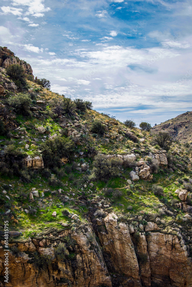 Rocky mountain ridge in the Sonora Desert in summer.
