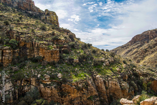 Rocky mountain ridge in the Sonora Desert in summer.