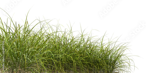 Cutout foreground greenery grass fields meadow 3d rendering png file