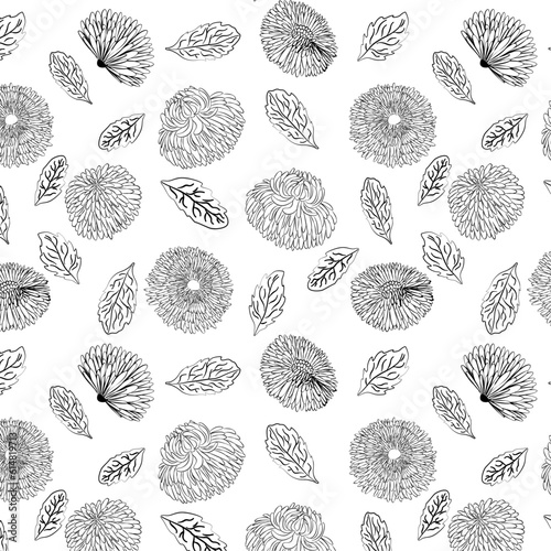 seamless pattern with illustrations of daisies, floral pattern, outline, vector 