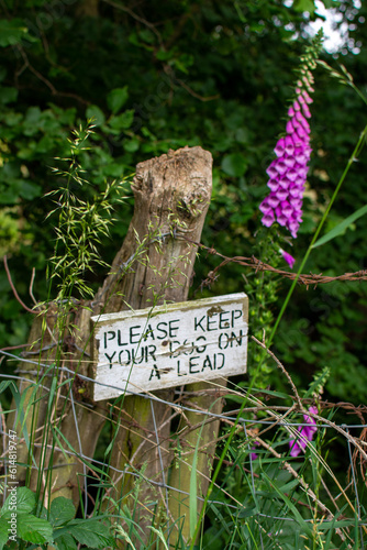 Please keep your dog on a lead country sign