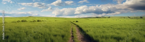 path meanders through a vast  grassy flat field  inviting exploration and contemplation. The vibrant green grass stretches as far as the eye can see  swaying gently in the breeze.