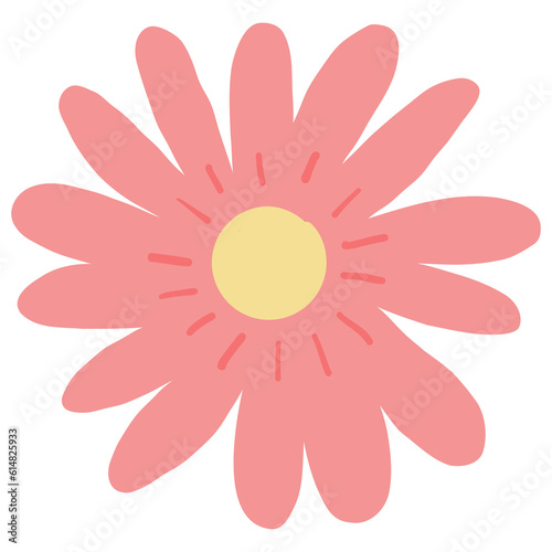 pink daisy flower