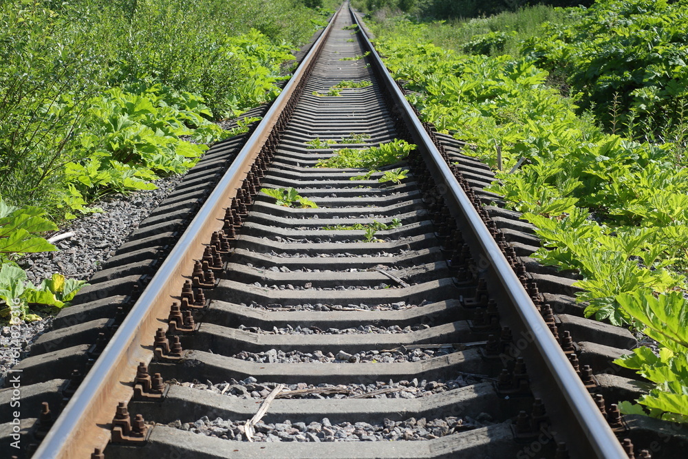 Fototapeta premium Rail track with overgrown grass verges