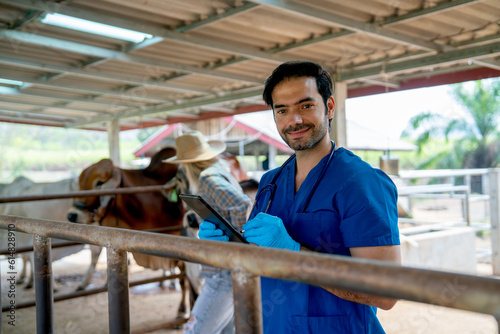 Close up veterinarian with blue gloves touch steel rail of cow stable also look to at camera and the owner also check condition of her cows in the background.