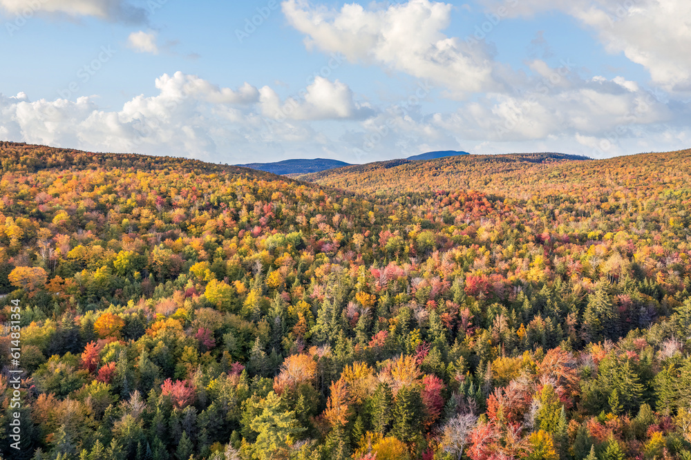 Beautiful fall foliage colors in western Maine - New England