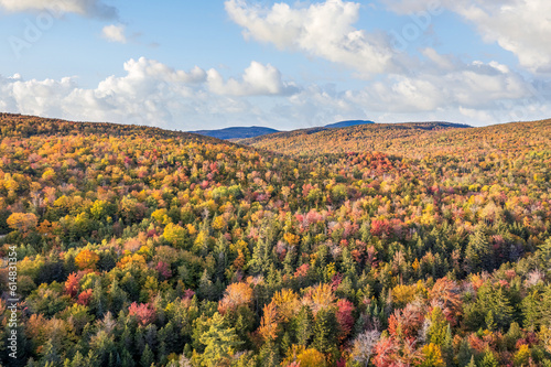 Beautiful fall foliage colors in western Maine - New England