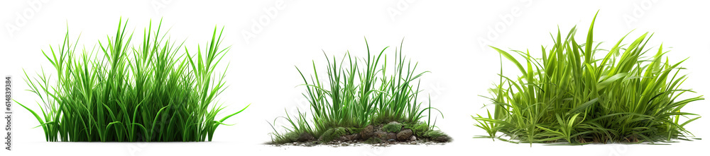 Fototapeta premium Set of fresh green grass in foreground isolated on transparent background