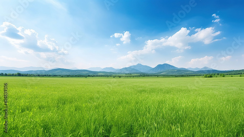 a beautiful grass feild surrounded by mountain.