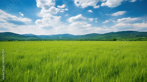 a beautiful grass feild surrounded by mountain.