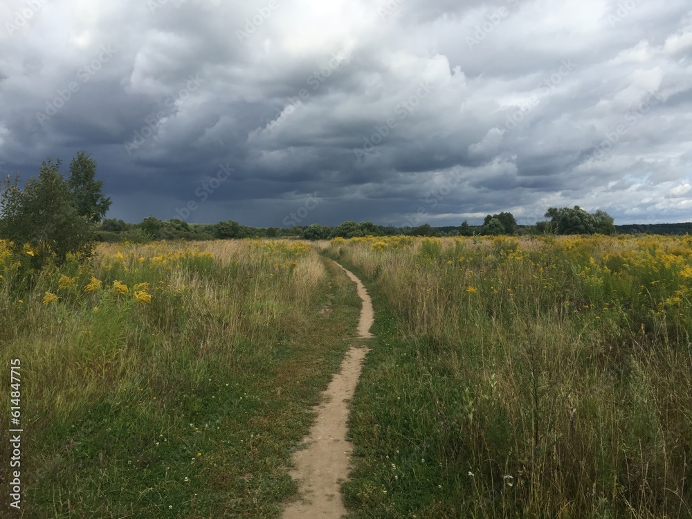 Country road on meadow in summer with heavy clouds just before rainstorm starts Country road on meadow in summer with heavy clouds just before rainstorm starts