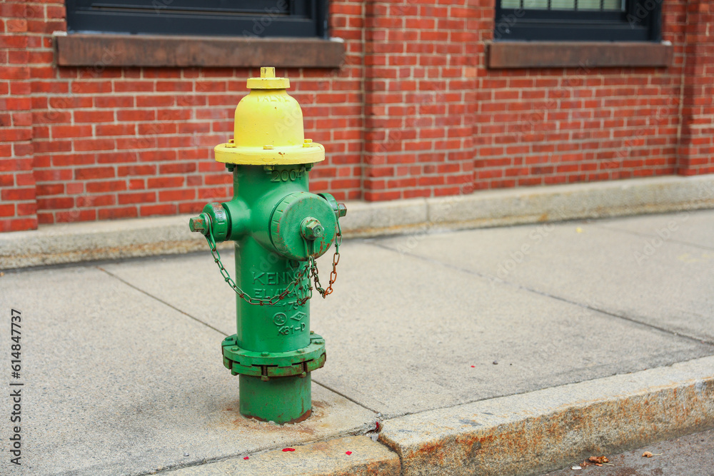 fire hydrant stands tall on the bustling city street, representing preparedness, safety, and a lifeline in times of emergencies fire hydrant stands tall on the bustling city street, representing preparedness, safety, and a lifeline in times of emergencies