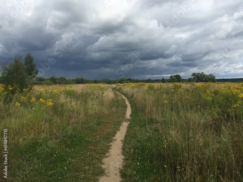 Фотография Country road on meadow in summer with heavy clouds just before rainstorm starts
