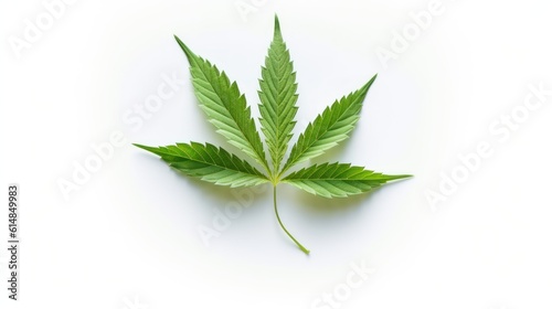 marijuana leaf isolated on white HD 8K wallpaper Stock Photographic Image