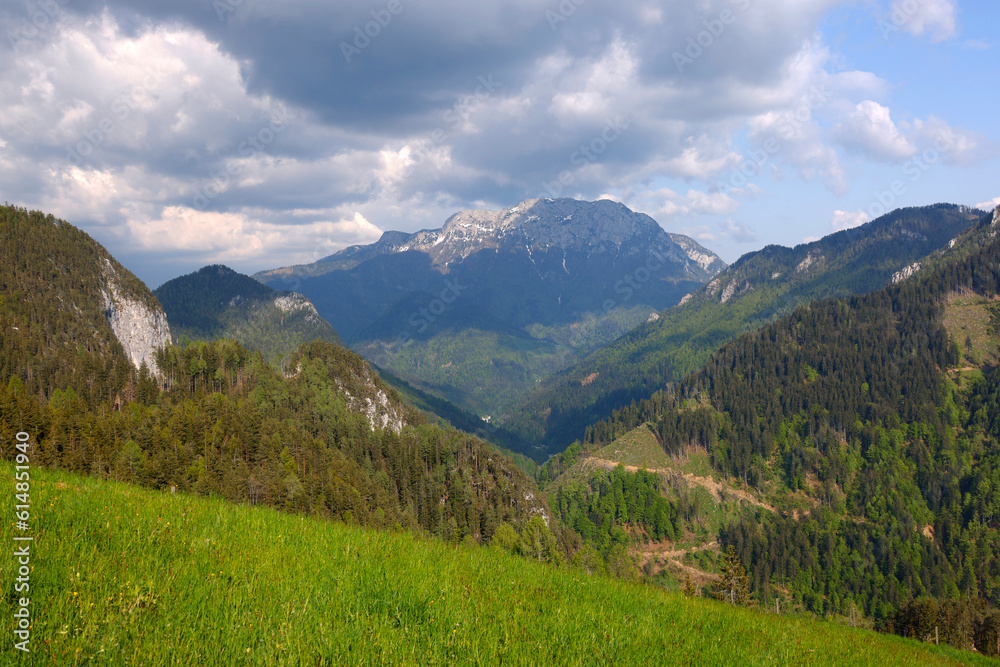 Logarska valley (Logarska dolina) near Solcava, Slovenia, Europe