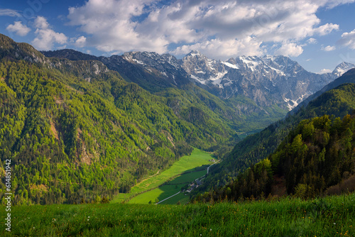 Logarska valley (Logarska dolina) near Solcava, Slovenia, Europe