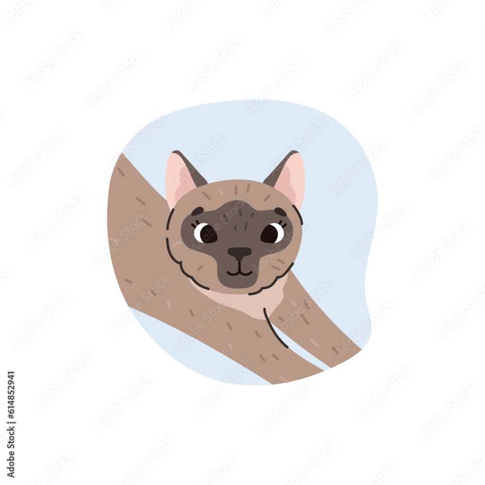 Cute funny Siamese cat flat style, vector illustration