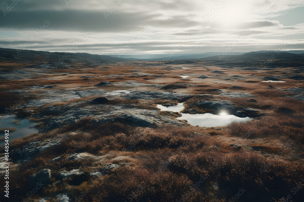 The beauty of the arctic tundra landscape. Generative AI