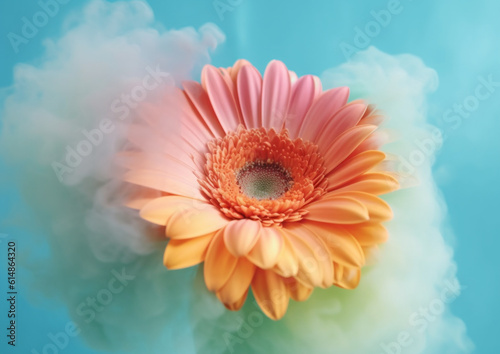 Gerber orange flower arrangement with rainbow color smoke bomb light pastel color. Abstract nature concept