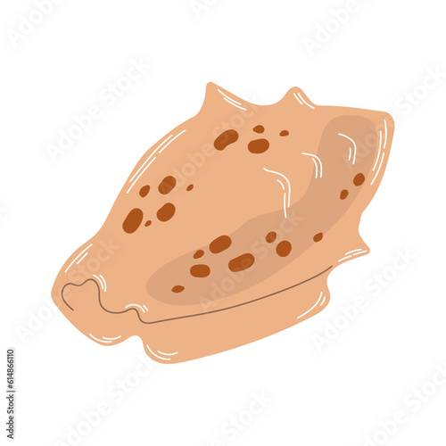 Isolated beige seashell with brown spots in flat hand drawn vector style on white background. Marine life. For print, design, poster