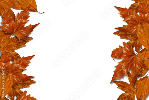 beautiful background of yellow autumn leaves