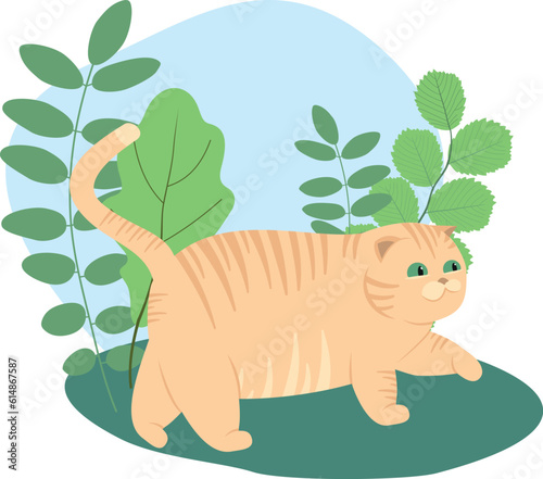 Cute cats. Vector illustration of funny fat cats