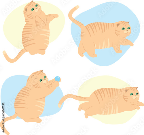 Cute cats. Vector illustration of funny fat cats